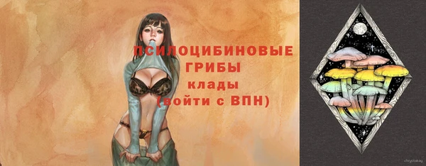 герыч Алексин
