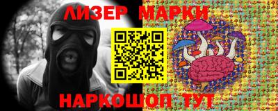дурь Кингисепп