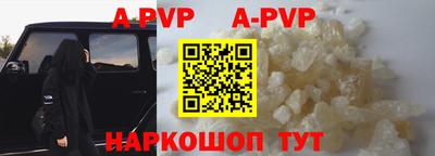 дурь Кингисепп