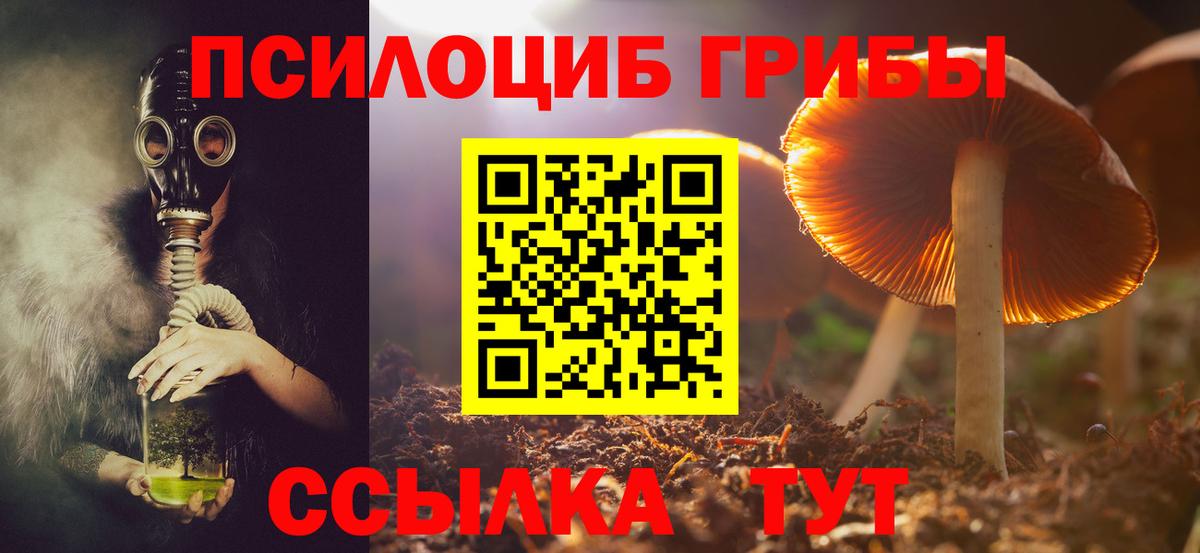 Котовск  Галлюциногенные грибы MAGIC MUSHROOMS  Вход с VPN 